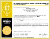 API 6A - 2020.jpg